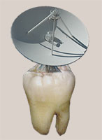 Una de las pruebas del delito